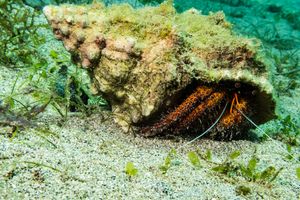 Gili Islands - June 2023