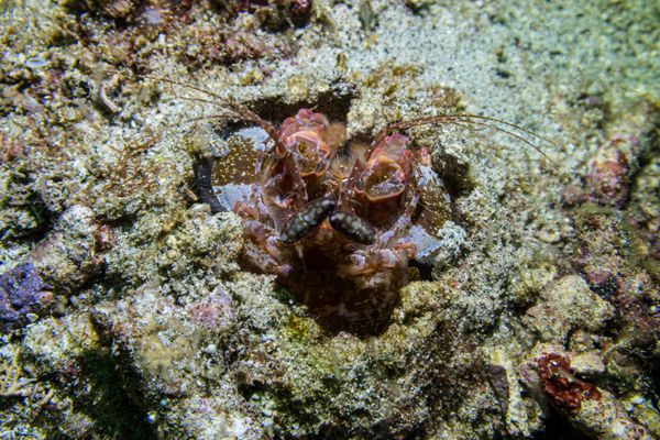 Sabang Point encounter 3