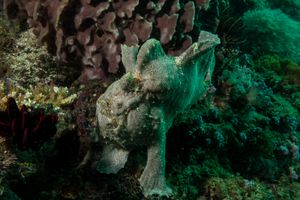 Giant Anglerfish