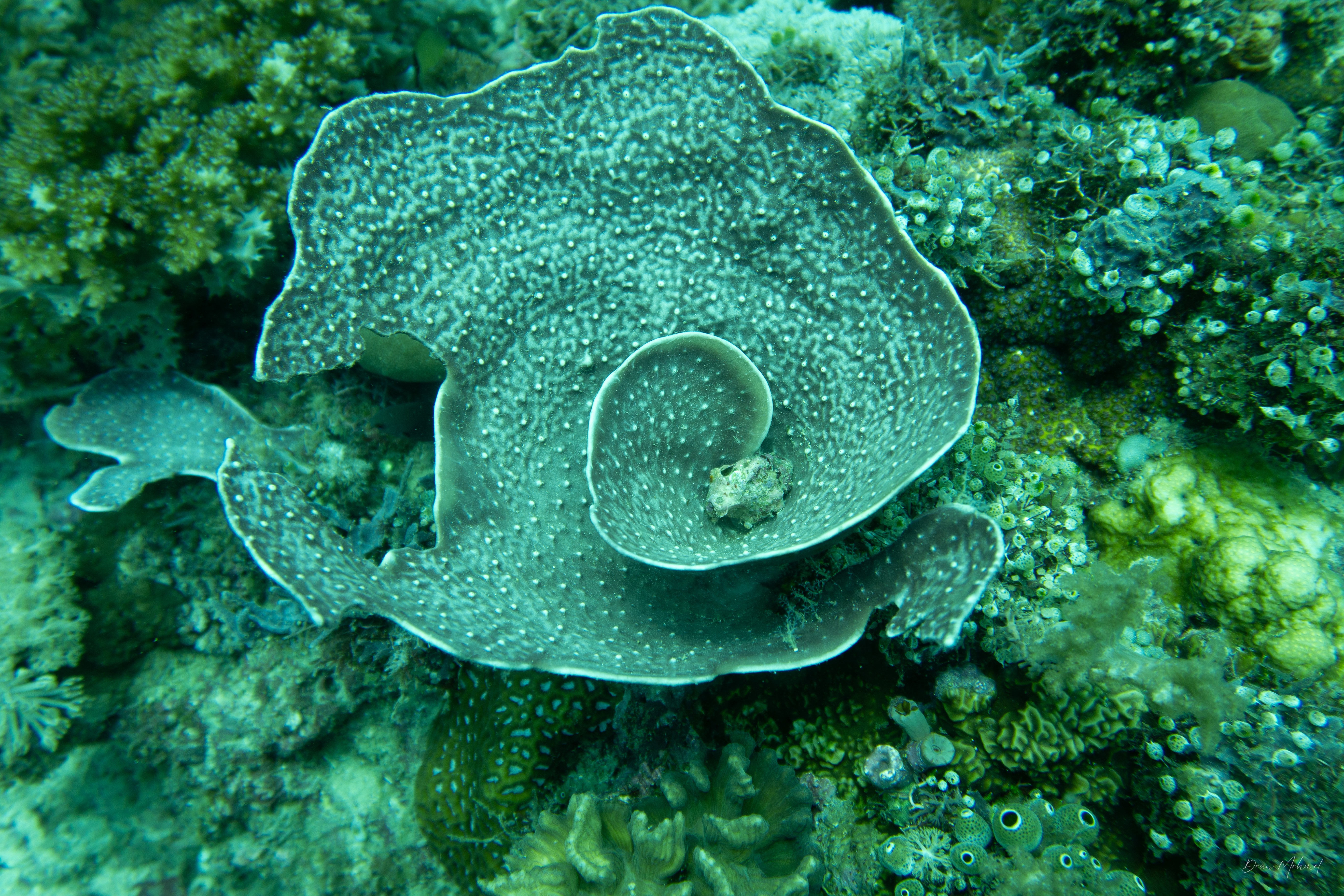 IMG_8024.jpg