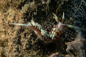 IMG_7026.jpg