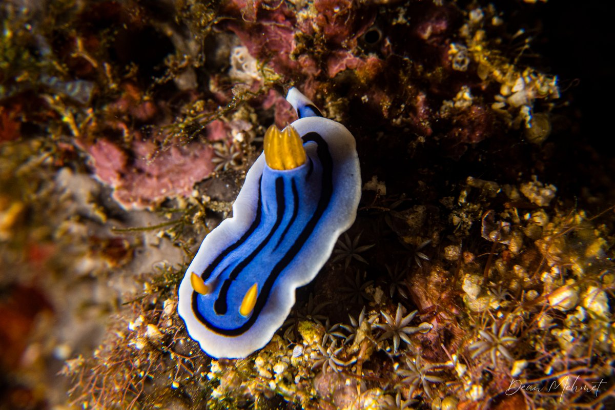 Manado & Bunaken hero image