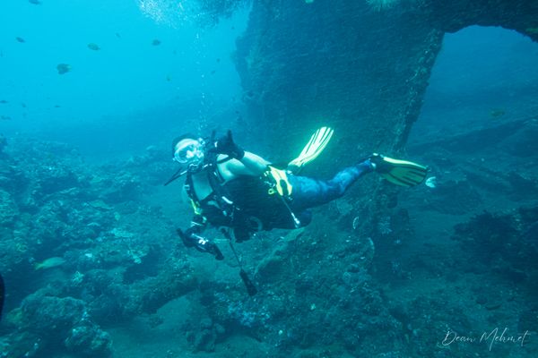 USAT Liberty Wreck encounter 17