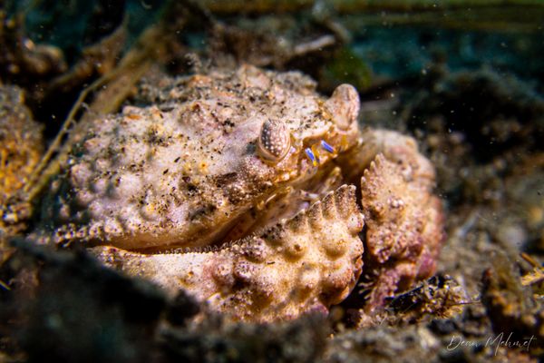 Malatapay encounter 47
