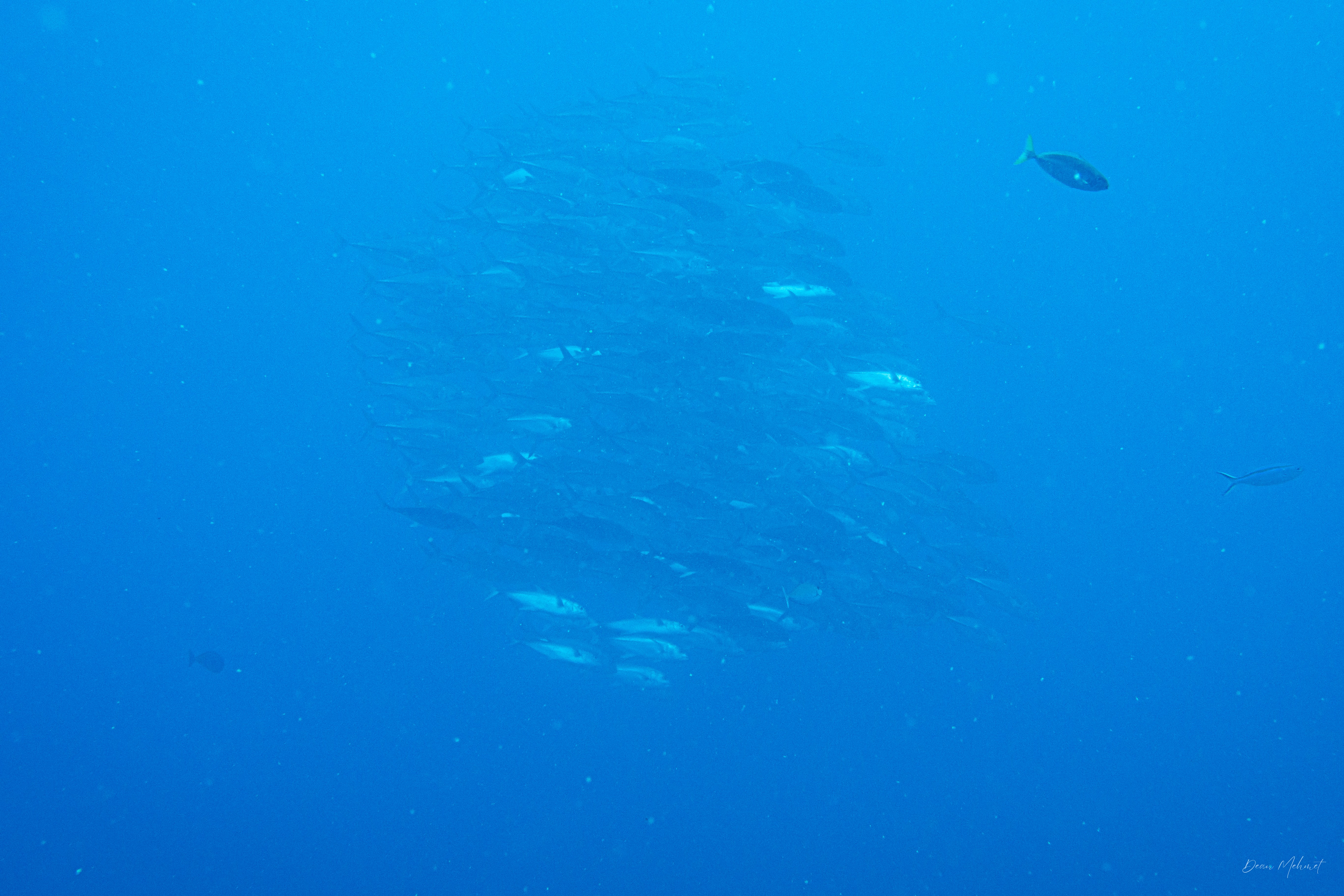 IMG_5144.jpg