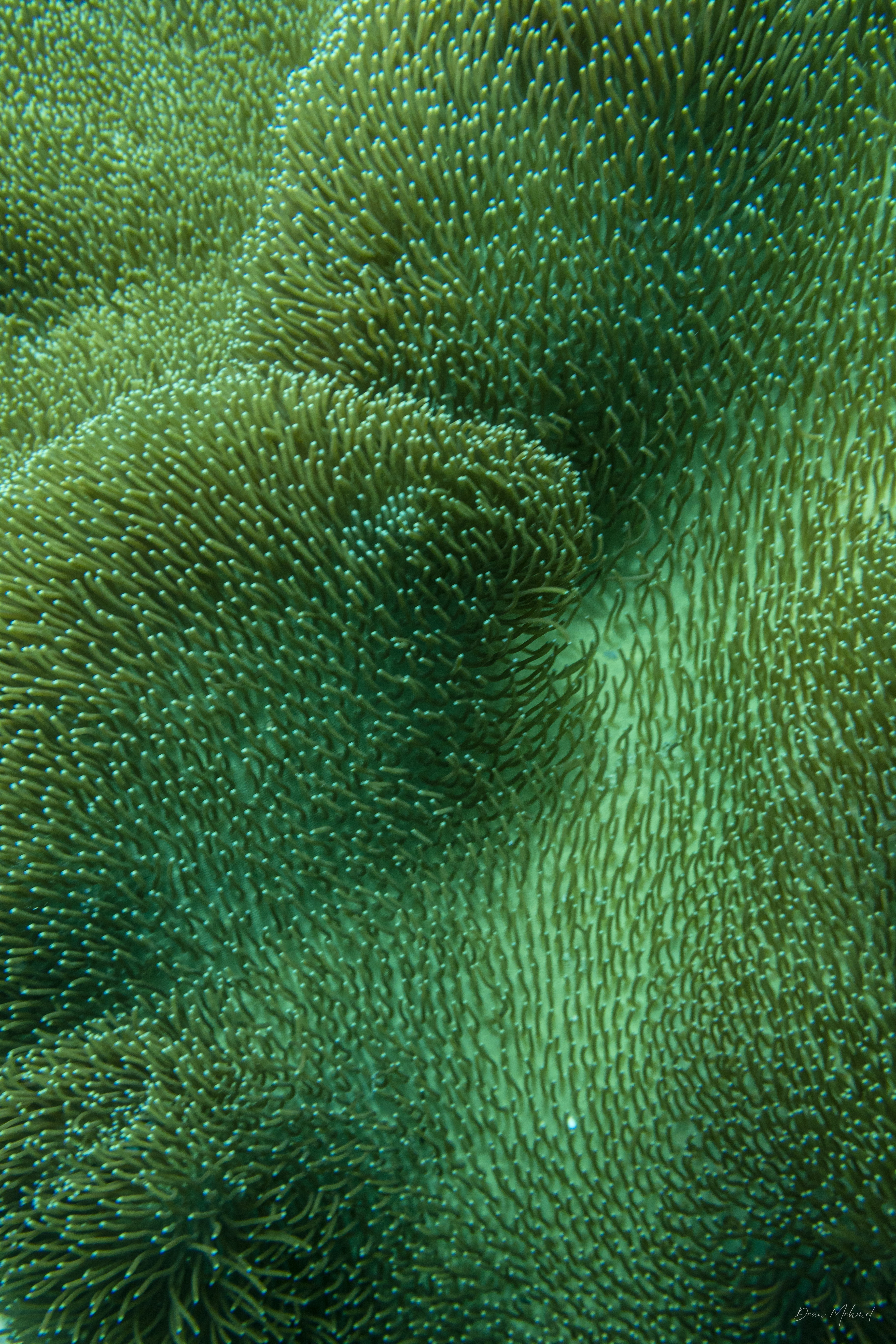 IMG_5256.jpg