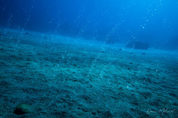 Archive frame - Dauin - 7 June 2026 - Dive 1 - Largahan