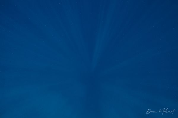Archive frame - Dauin - 7 June 2026 - Dive 2 - Katipanan