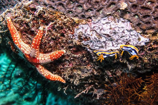 La Laguna Point encounter 21