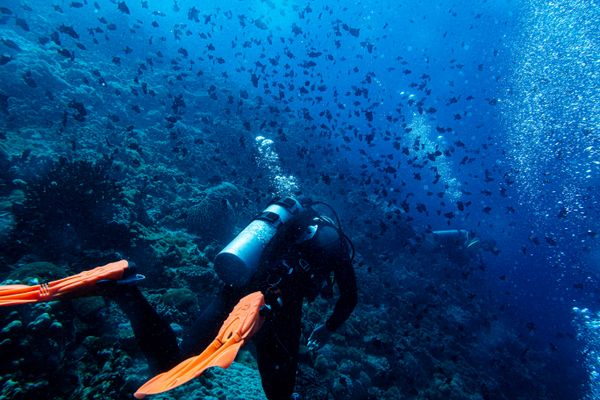 Dive 1 encounter 22