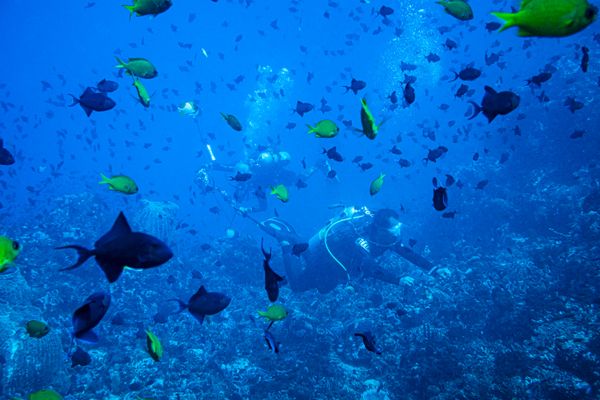 Dive 1 encounter 24
