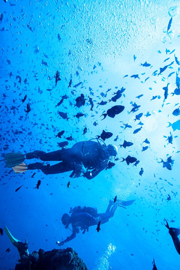 Dive 1 encounter 25