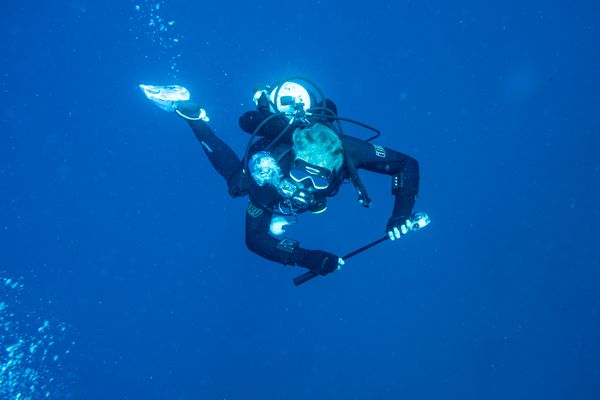 HMAS Swan encounter 9