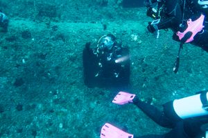 Reef Manta Ray