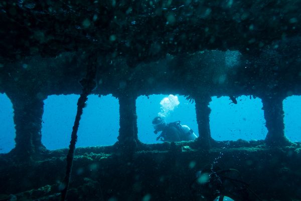 HMAS Swan encounter 31