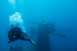 Stovepipe Sponge