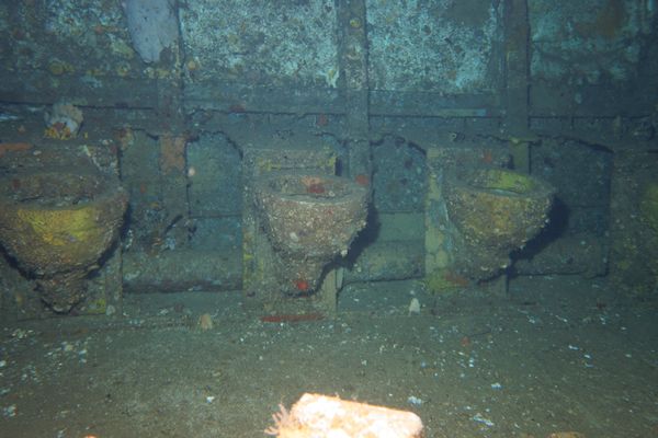 HMAS Swan encounter 50