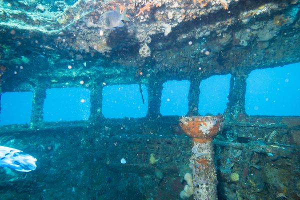 HMAS Swan encounter 51