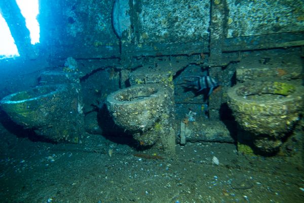 HMAS Swan encounter 58