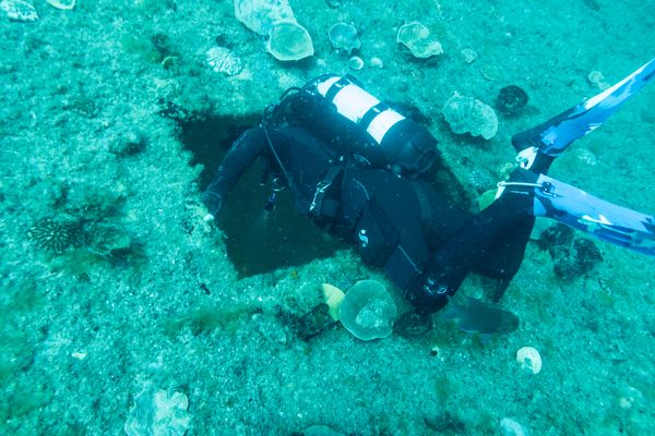 HMAS Swan encounter 61