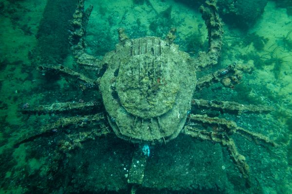 Busselton Jetty encounter 36